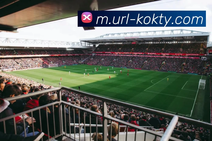 KOK体育发展历程